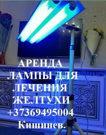 Аренда лампы для лечения желтухи дома Laрma pentru scaderea bilirubine - imagine 1