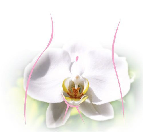 Reintinerirea vaginului cu laser sau rejuvenare vaginala (vaginoplasti - imagine 1