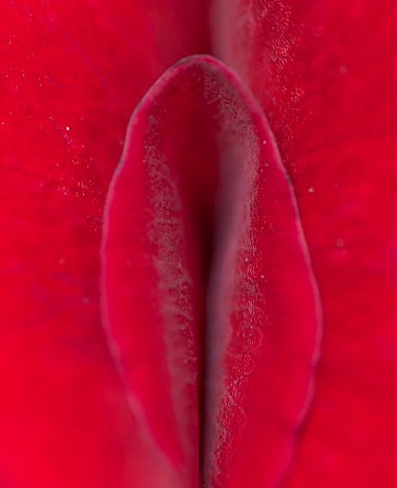 Reintinerirea vaginului cu laser sau rejuvenare vaginala (vaginoplasti - imagine 1
