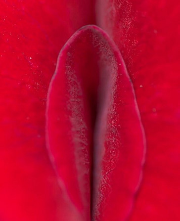 Reintinerirea vaginului cu laser sau rejuvenare vaginala (vaginoplasti - изображение 1